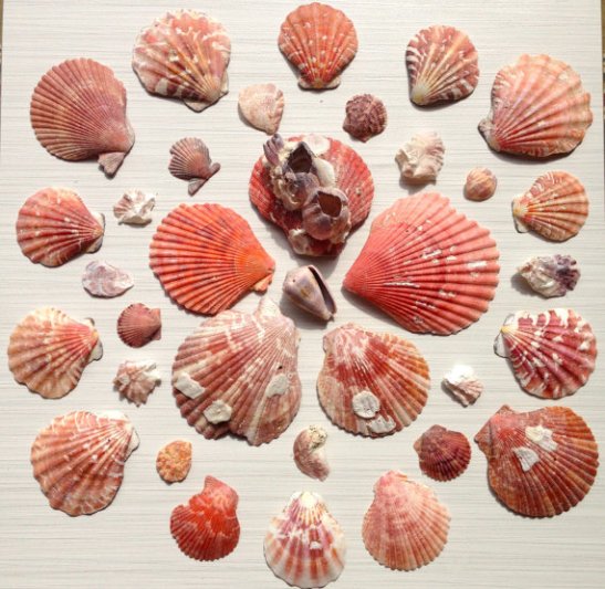 il_570xN.619318210_gkbw